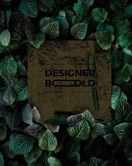 Designer Bold — Carrossel · Estruturação do curso, peça 1