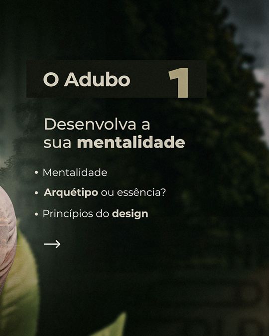 Designer Bold — Carrossel · Estruturação do curso, peça 3