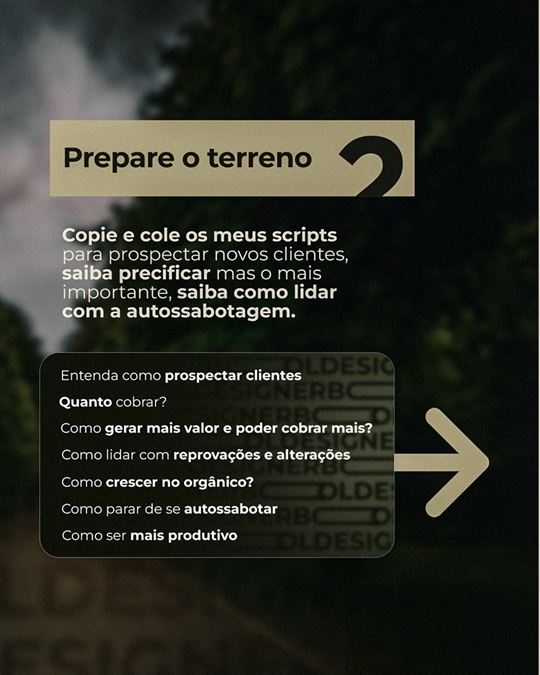 Designer Bold — Carrossel · Estruturação do curso, peça 4